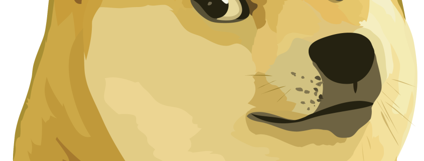 Qué es DOGE
