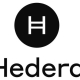 Qué-es-Hedera-Hashgraph-HBAR