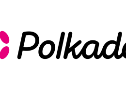 Qué es Polkadot (DOT)