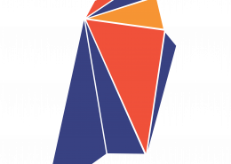 ¿Qué es RVN (Ravencoin)?