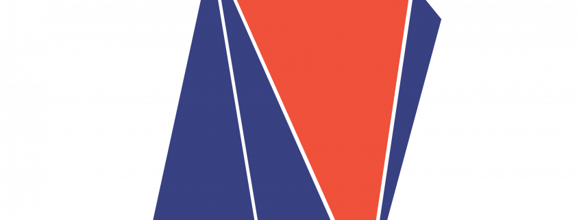 ¿Qué es RVN (Ravencoin)?