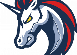 Red de 1inch | características principales | Cómo utilizarlo