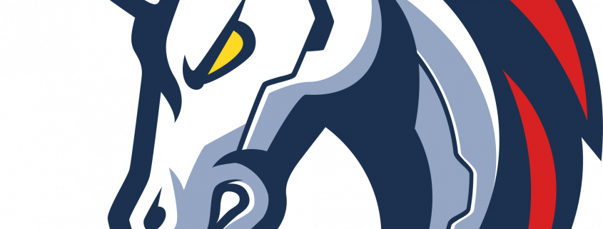 Red de 1inch | características principales | Cómo utilizarlo